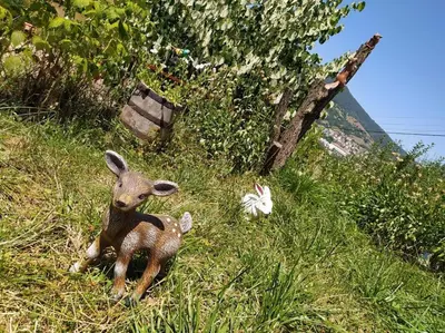 a baby deer and a toy rabbit in the grass at Cozy Home in Ardino in Ardino