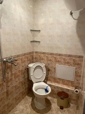 a bathroom with a white toilet in a room at Апартамент за гости in Devin
