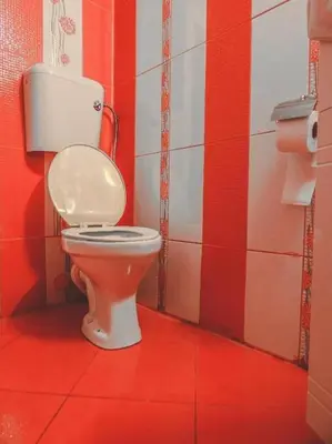 a bathroom with a toilet in a red room at Top Center Apartment 2 in Sofia