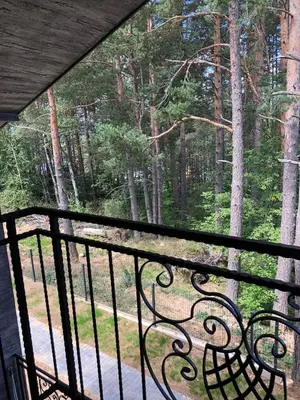 a screened in porch with a view of the woods at Вила Bora Vista 2 in Tsigov Chark
