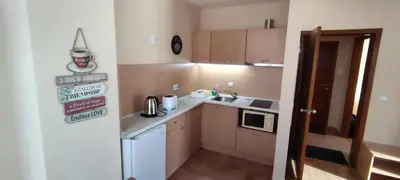 a small kitchen with a sink and a refrigerator at Apartment SUNNY&RELAX Pamporovo The Castle 2 in Pamporovo