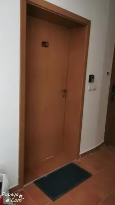 a wooden door in a room with a green rug at Apartment Sam in Grand Monastery in Pamporovo