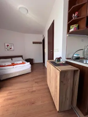 a room with a bed and a kitchen with a sink at Jordan Apartment’s Bansko in Bansko
