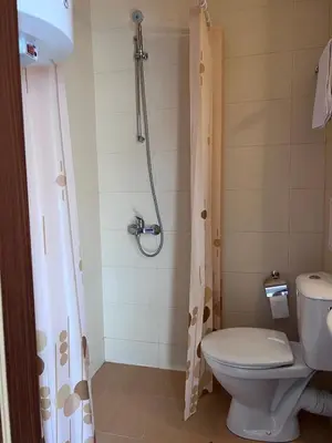 a bathroom with a toilet and a shower at Jordan Apartment’s Bansko in Bansko