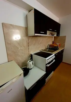 a small kitchen with a stove and a sink at Mila Apartment in Bansko
