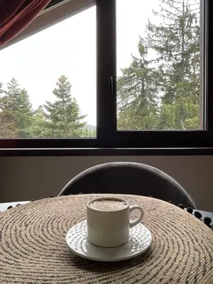 a coffee cup sitting on a table in front of a window at Rustic Mountain Apartment - A55 in Borovets