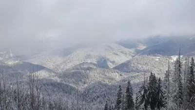 a snow covered mountain with trees and mountains at APARTMENT Darsi in Pamporovo
