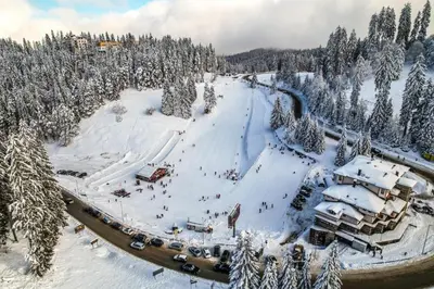 an aerial view of a ski resort in the snow at St Trifon Guests Apartments in Pamporovo