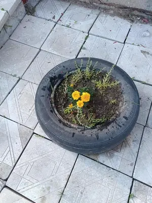 a tire with flowers in it on a sidewalk at Студио Еми in Chepelare