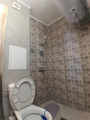 a bathroom with a toilet and a shower at Студио Еми in Chepelare