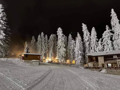 a snow covered forest of trees with snow covered trees at Arboro Borovets Gardens E68 in Borovets