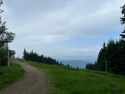 a dirt road on the side of a hill with trees at Arboro Royal Plaza in Borovets