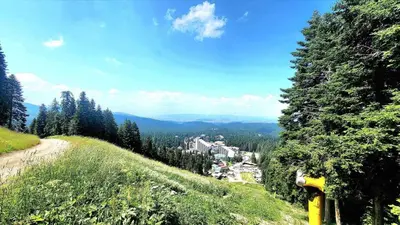 a view of a city from a hill with trees at Arboro Royal Plaza in Borovets