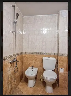 a bathroom with a toilet and a shower at Къща за гости Карасански in Bansko