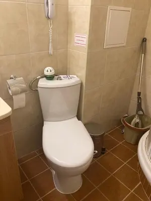 a bathroom with a toilet and a phone on the wall at Boutique & artistic 3 bedroom apartment. in Pamporovo