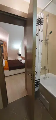 a bathroom with a shower and a bedroom with a bed at Penthouse Harriet Bansko in Bansko