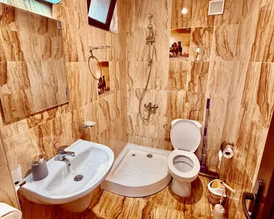 a bathroom with a toilet and a sink at Къщи за гости Фантазия in Dospat