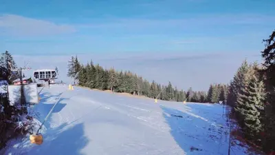 Gallery image of Арборо Боровец Гардънс Д35 in Borovets