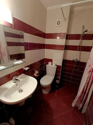 a bathroom with a toilet and a sink at Viva 4 Apartment ski to the door complex Grand Monastery Pamporovo in Pamporovo