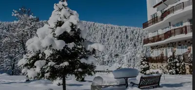 a snow covered tree in front of a building at Апартамент Bella Casa in Beli Iskar