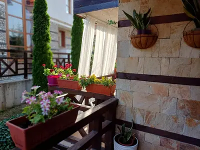 a bunch of potted plants on a balcony at Mila VIP Apartment in Bansko