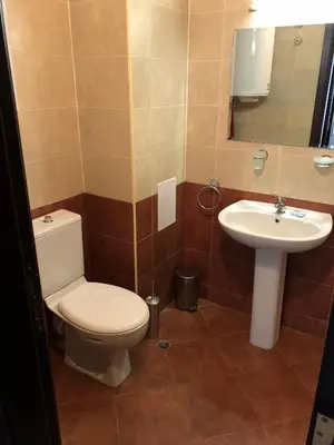 a bathroom with a toilet and a sink at Студио, хотел Стената in Pamporovo