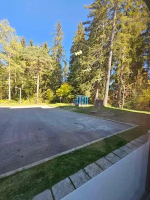 an empty road in a park with trees at BoroHome in Borovets