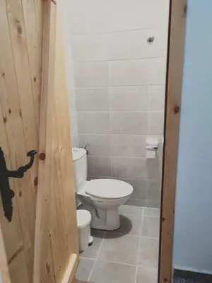 a bathroom with a toilet and a wooden door at Villa Tangra in Grashtitsa