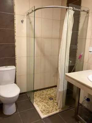 a bathroom with a shower and a toilet at Апартамент за гости Свети Трифон in Pamporovo