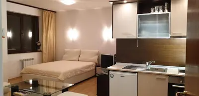 a small room with a bed and a kitchen at Charming Winter Studio in Borovets