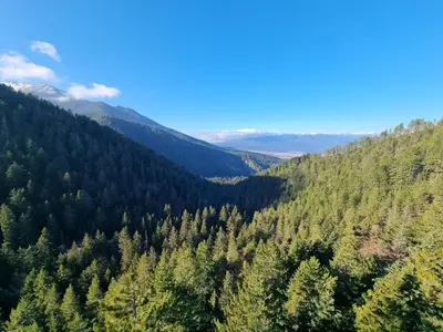 an aerial view of a forest with mountains in the background at Bansko Royal Towers apartment 200m from skilift in Bansko