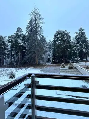 a fence covered in snow with trees in the background at Lodge Euphoria Apartment in Borovets