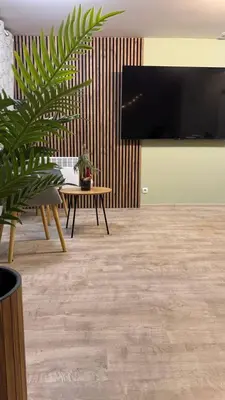 a living room with a tv and a table and a plant at Olive Apartment with terrace B100 in Grand Resort Pamporovo in Pamporovo