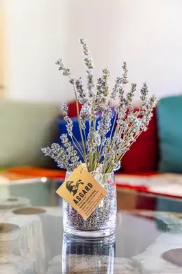 a vase filled with flowers sitting on a table at Комплекс Конна база Асгард in Golem Tsalim
