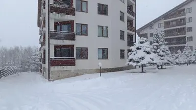 a snow covered building with a tree in front of it at Apartment 2 Detelina Residence in Bansko