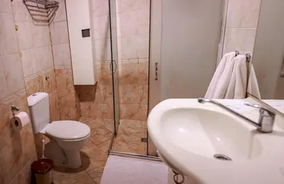 a bathroom with a sink and a toilet and a shower at ApartmentDanny in Hisarya