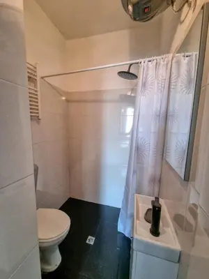 a bathroom with a toilet and a shower curtain at Cozy Studio in Center of Sofia in Sofia