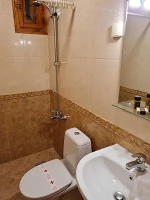 a bathroom with a white toilet and a sink at Астра къща за гости in Koprivshtitsa