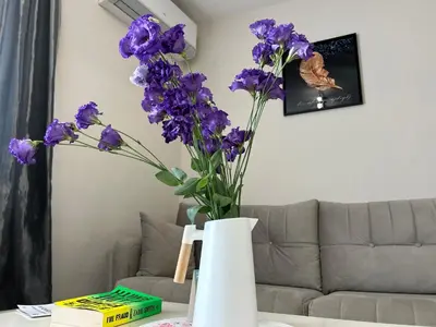 a vase filled with purple flowers on a table at Old Town Apartment 3 with Free Private Parking in Plovdiv