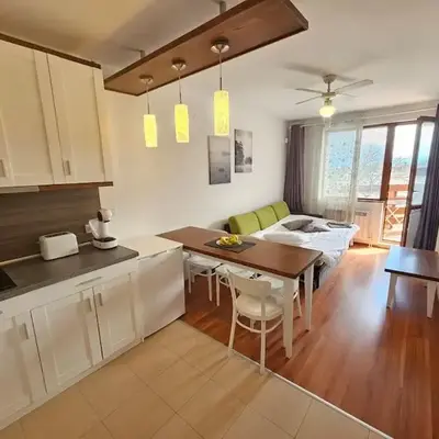 Bansko Private VIP Apartment