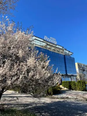 a flowering tree in front of a building at Hotel Dream in Sofia